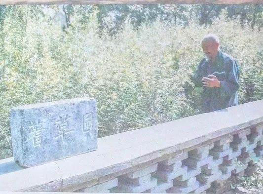 119年前太昊陵庙会照片曝光，连老淮阳人都没见过