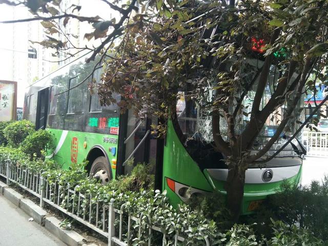 突发！周口市区两公交车追尾 有乘客受伤